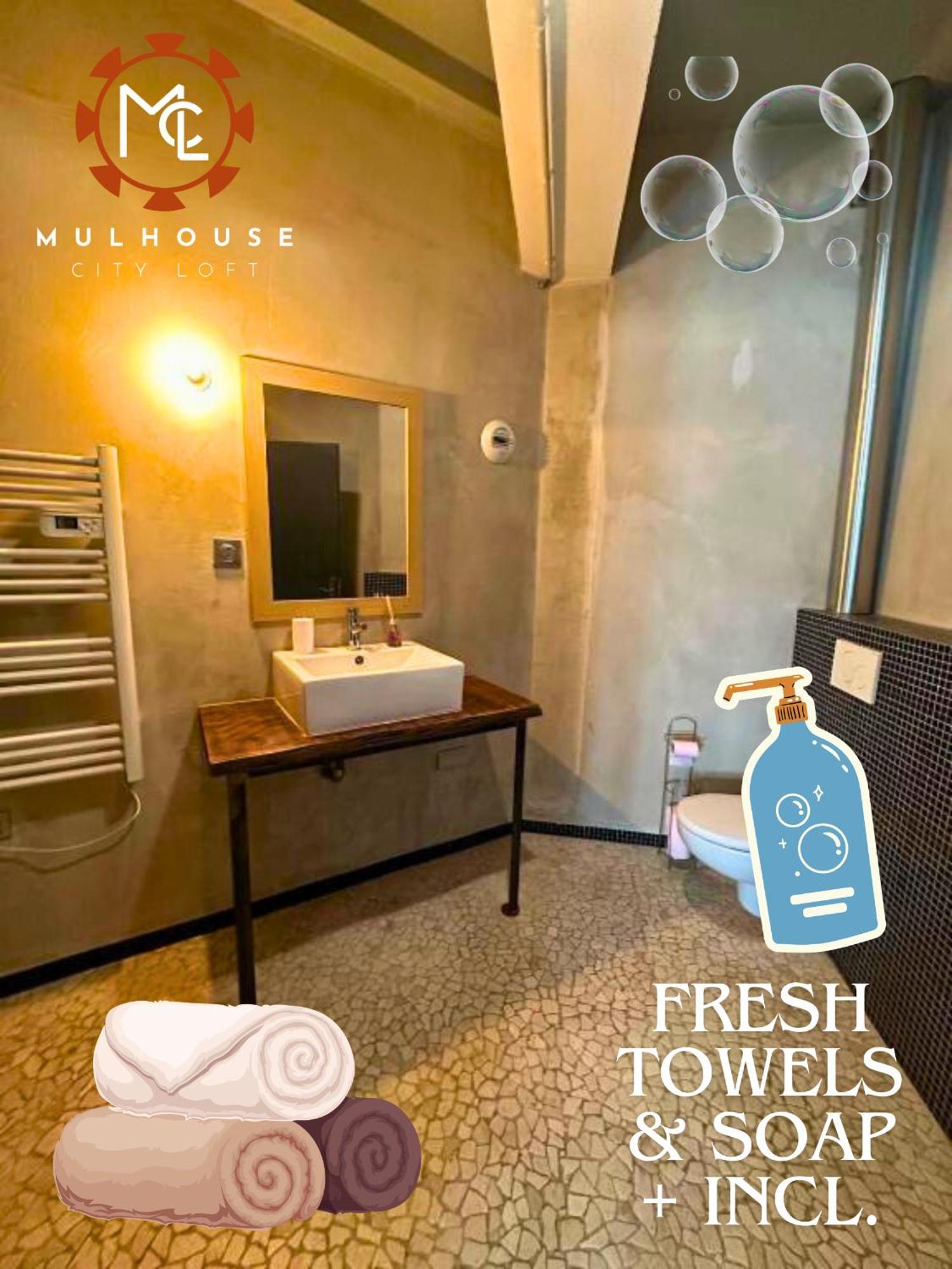 Mulhouse City Loft מראה חיצוני תמונה